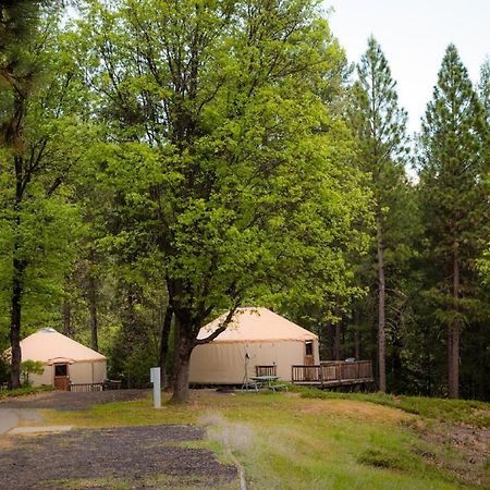 Yosemite Lakes Hillside Yurt 1 Harden Flat Esterno foto
