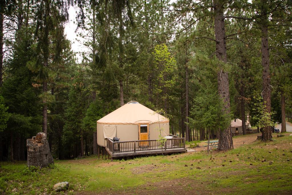 Yosemite Lakes Hillside Yurt 1 Harden Flat Esterno foto