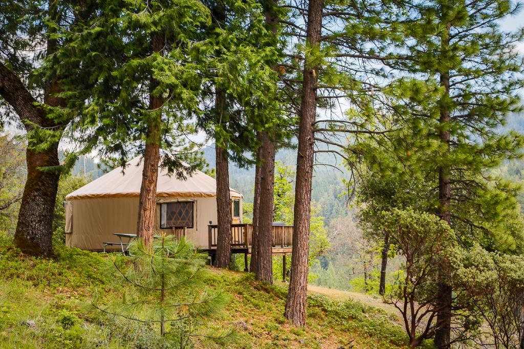 Yosemite Lakes Hillside Yurt 1 Harden Flat Esterno foto