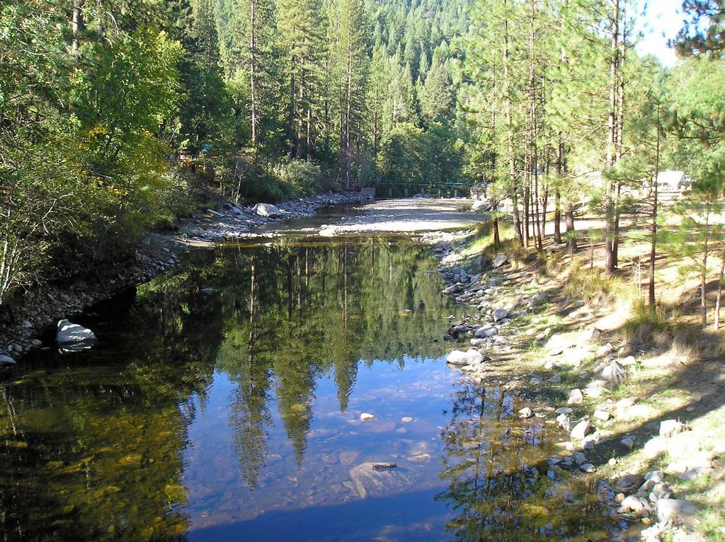 Yosemite Lakes Hillside Yurt 1 Harden Flat Esterno foto
