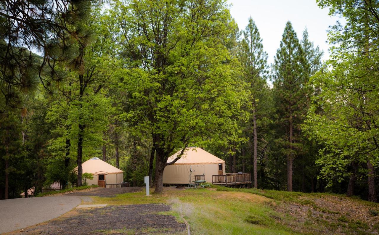Yosemite Lakes Hillside Yurt 1 Harden Flat Esterno foto